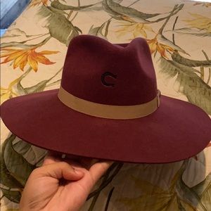 Charlie 1 horse hat